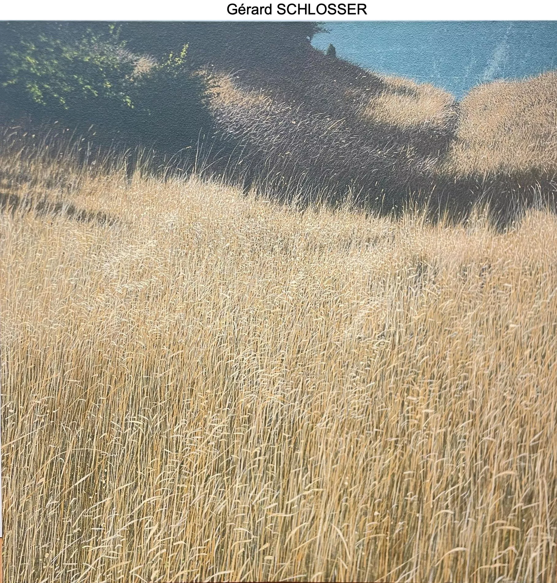 Vente du 30 septembre, Senequier-Crozet, Grenoble